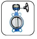 Butterfly Valve