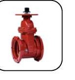 Cast Iron Gate Valve (NRS/OS&Y)