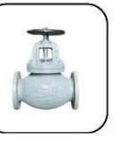 Globe Valve