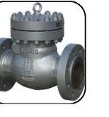 Swing Check Valve